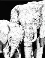 Monochrome Elephants Paint By Numbers