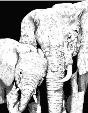 Monochrome Elephants Paint By Numbers