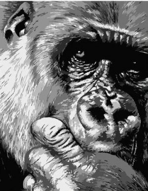 Monochrome Chimpanzee Paint By Numbers