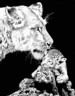 Lion And Cub Paint By Numbers