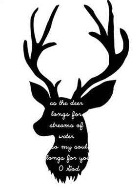 Deer Head Paint By Numbers