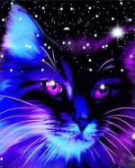 Galaxy Cat Paint By Numbers