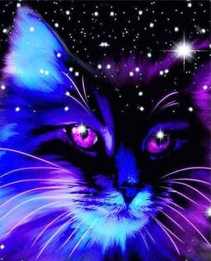 Galaxy Cat Paint By Numbers