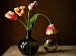 Tulips Glass Vase Paint By Numbers
