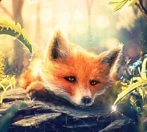 Lovely Woodland Fox Paint By Numbers