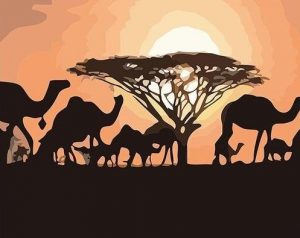 Camels Sunset Silhouette Paint By Numbers