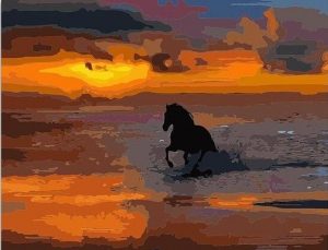 Horse on Sea Sunset Animals Paint By Numbers