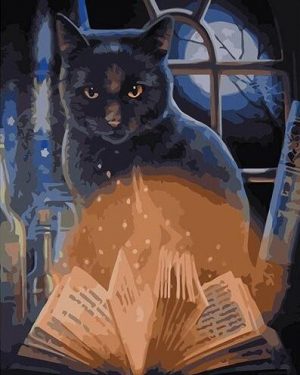 Witch Cat Paint By Numbers