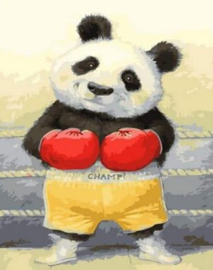 Boxer Panda Paint By Numbers