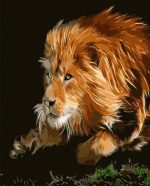 Lion The King Paint By Numbers