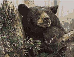 Black Bear In Forest Paint By Numbers