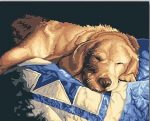 Sleepy Dog Paint By Numbers