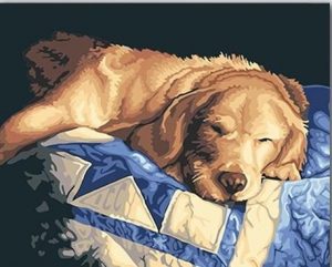 Sleepy Dog Paint By Numbers
