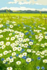 Daisy Flowers Field Paint By Numbers