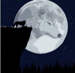 Moon Wolf Paint By Numbers