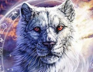 White Tiger Cub Paint By Numbers