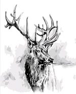 Black And White Deer Paint By Numbers
