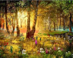 Sunlight Forest View Landscape Paint By Numbers