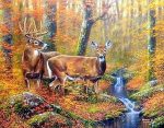 Couple Deer In Forest Paint By Numbers