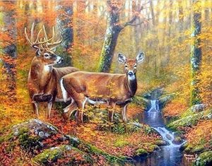 Couple Deer In Forest Paint By Numbers