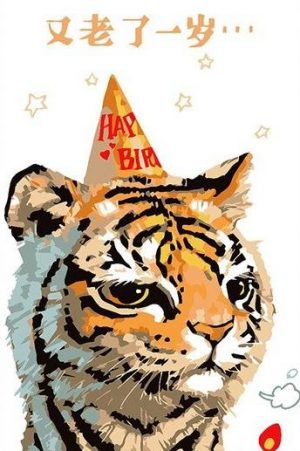 Tiger Birthday Paint By Numbers