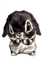 Cute Rabbit Paint By Numbers