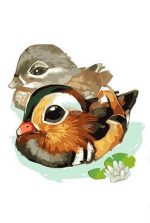 Cute Geese Birds Paint By Numbers