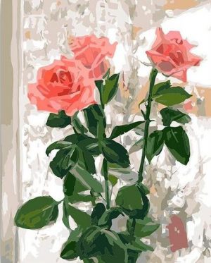 Pink Roses Paint By Numbers