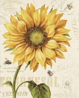 Sunflower And Bees Paint By Numbers