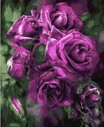 Purple Roses Paint By Numbers
