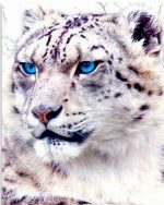 Blue Eyes Tiger Paint By Numbers