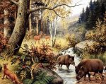 Wild Boars In Jungle Paint By Numbers