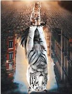 Cat Reflection Tiger Paint By Numbers