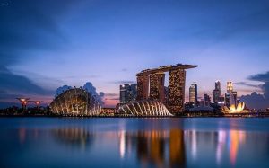 Singapore At Night Paint By Numbers