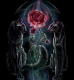 Cats And Roses Paint By Numbers