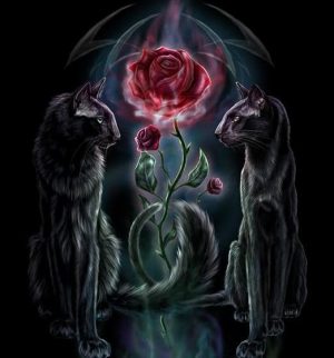 Cats And Roses Paint By Numbers