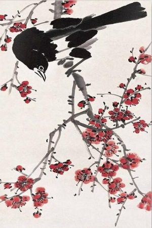 Magpie Bird Paint By Numbers