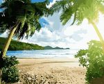 Tropical Island Paint By Numbers
