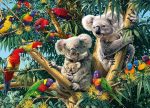 Lorikeets And Koalas Paint By Numbers