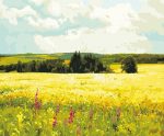 Field Scenery Paint By Numbers