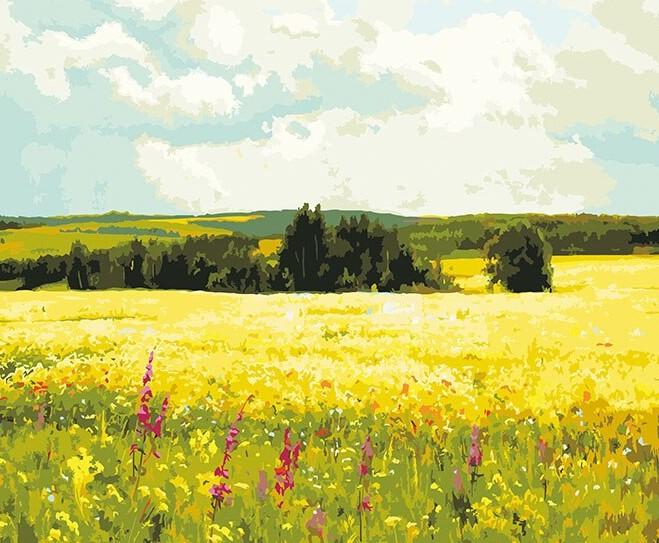 Field Scenery Paint By Numbers