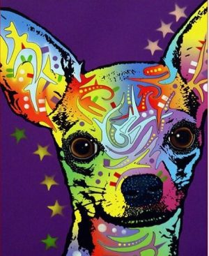 Colorful Chihuahua Dog Paint By Numbers