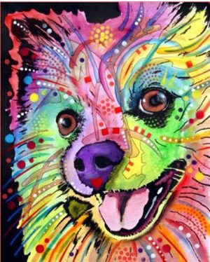 Colorful Pomeranian Paint By Numbers