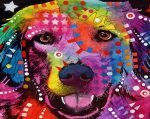 Colorful Dog Paint By Numbers