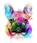 Splatter Colorful Bulldog Paint By Numbers