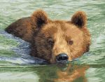 Bear Swimming Paint By Numbers