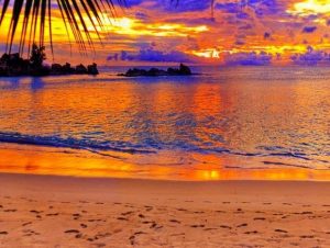 Sunset On A Beach Paint By Numbers