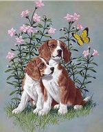 Cavalier King Charles Dogs Paint By Numbers