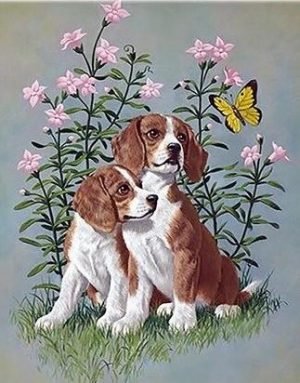 Cavalier King Charles Dogs Paint By Numbers