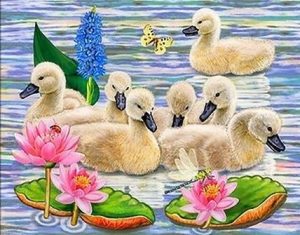 Little Ducks Paint By Numbers